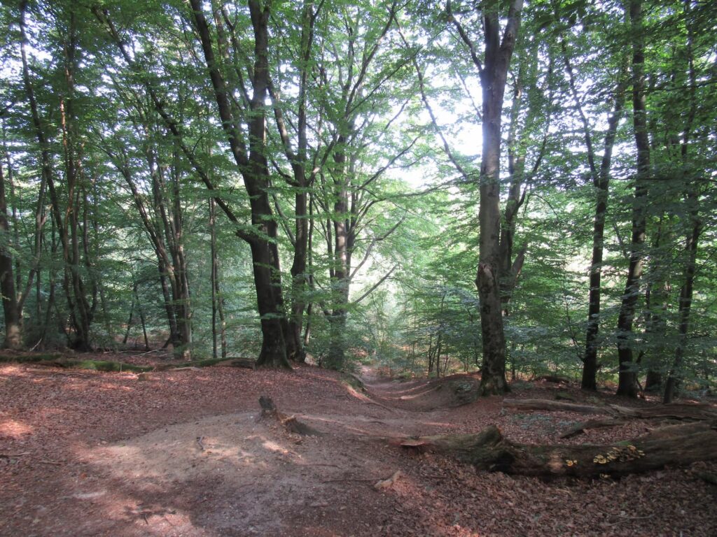 Wandelen zonder doel