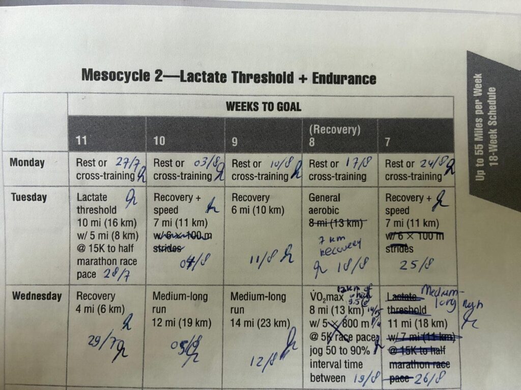 marathon schema in 2009 van Paul